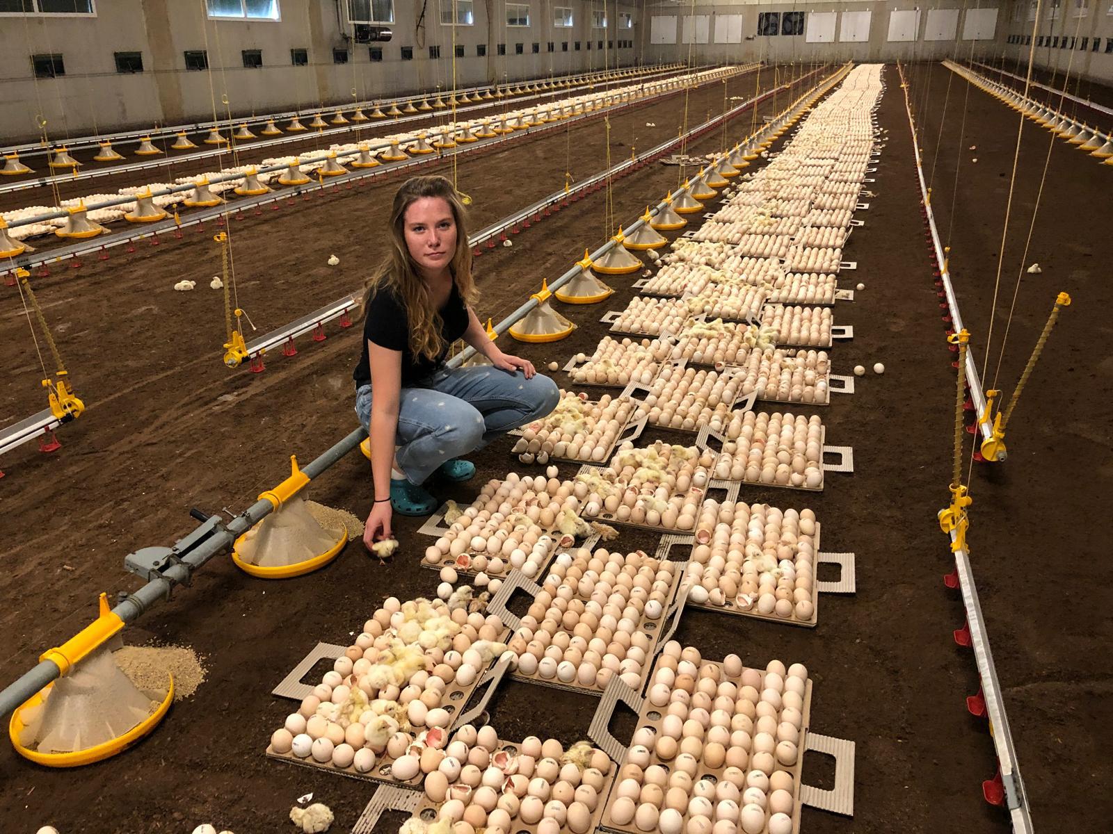 049b6173-f7b9-42a2-8787-14640616c0e4